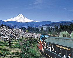 Mt  Hood